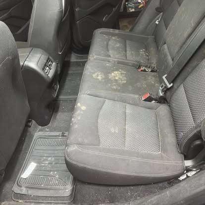 Back seats before and after shampoo, before